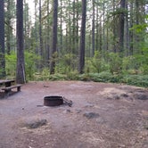 Review photo of Cougar Park & Campground - Tent Only by Danielle S., August 23, 2018