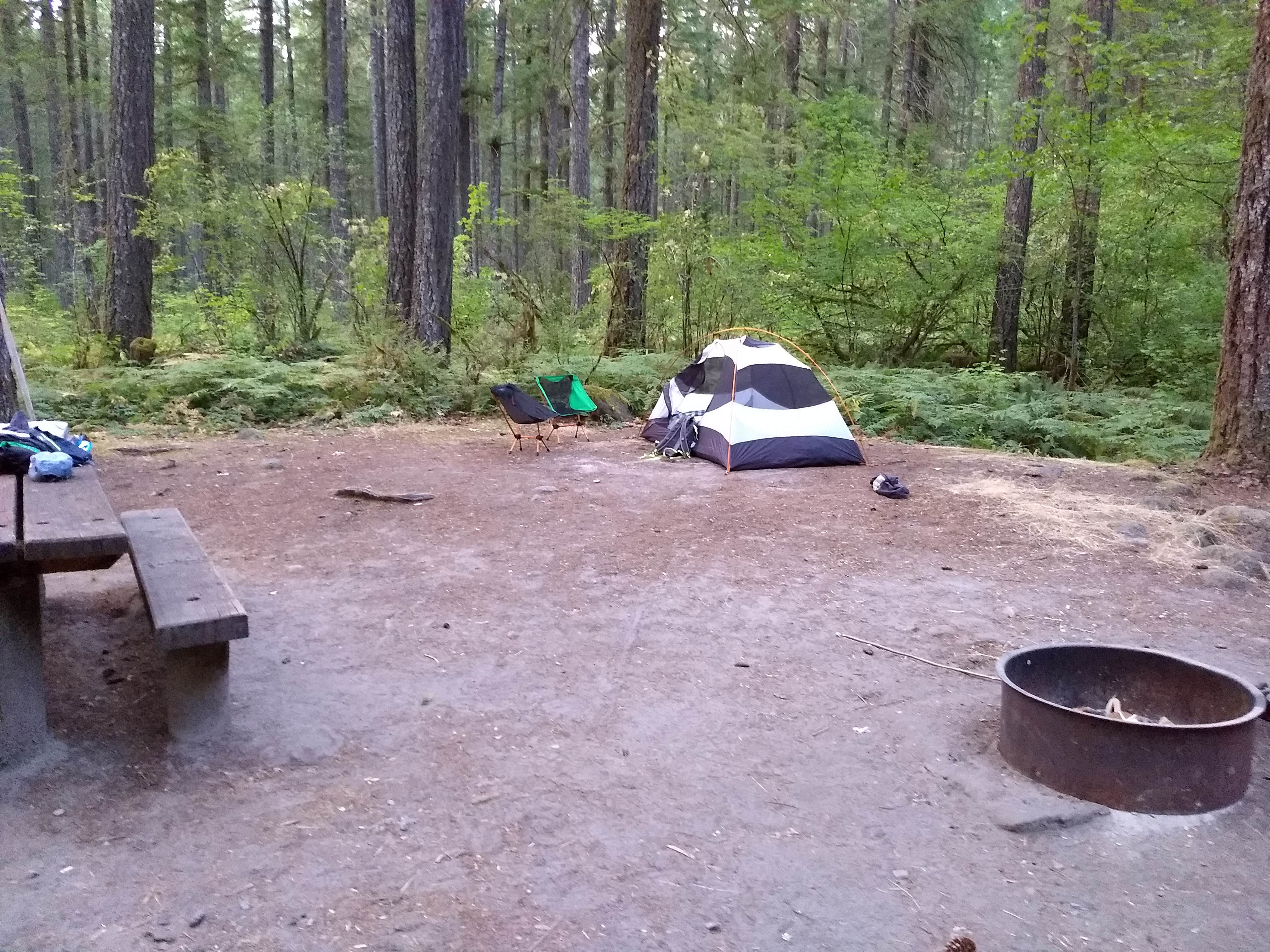 Danielle S.'s photo at Cougar Park & Campground - Tent Only near Yacolt, WA