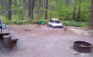 Danielle S.'s photo at Cougar Park & Campground - Tent Only near Yacolt, WA
