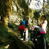Review photo of Hoh Rain Forest - Olympic National Park by melissa  W., August 23, 2018