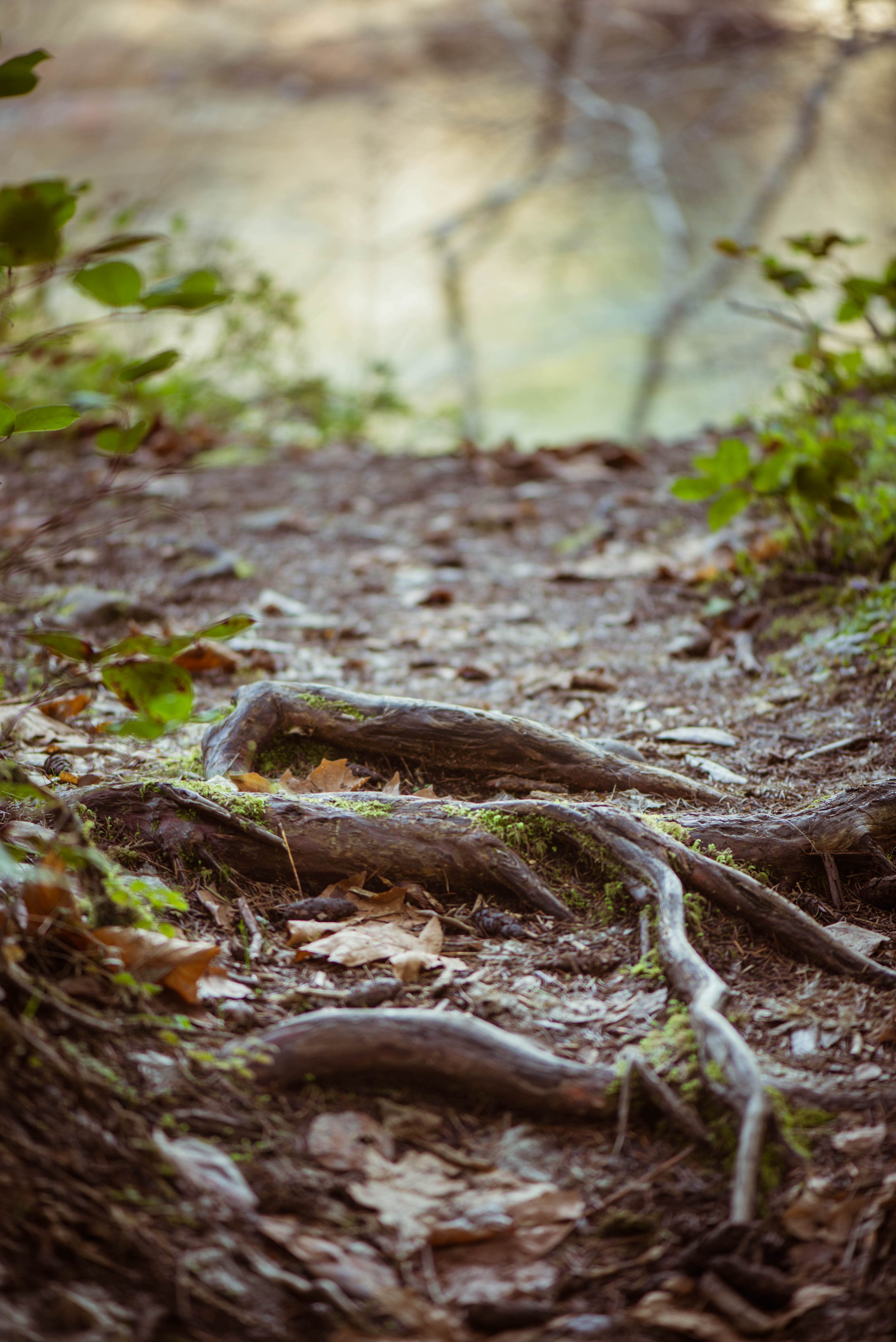 Camper-submitted photo at Whistlers Bend County Park near Dexter, OR