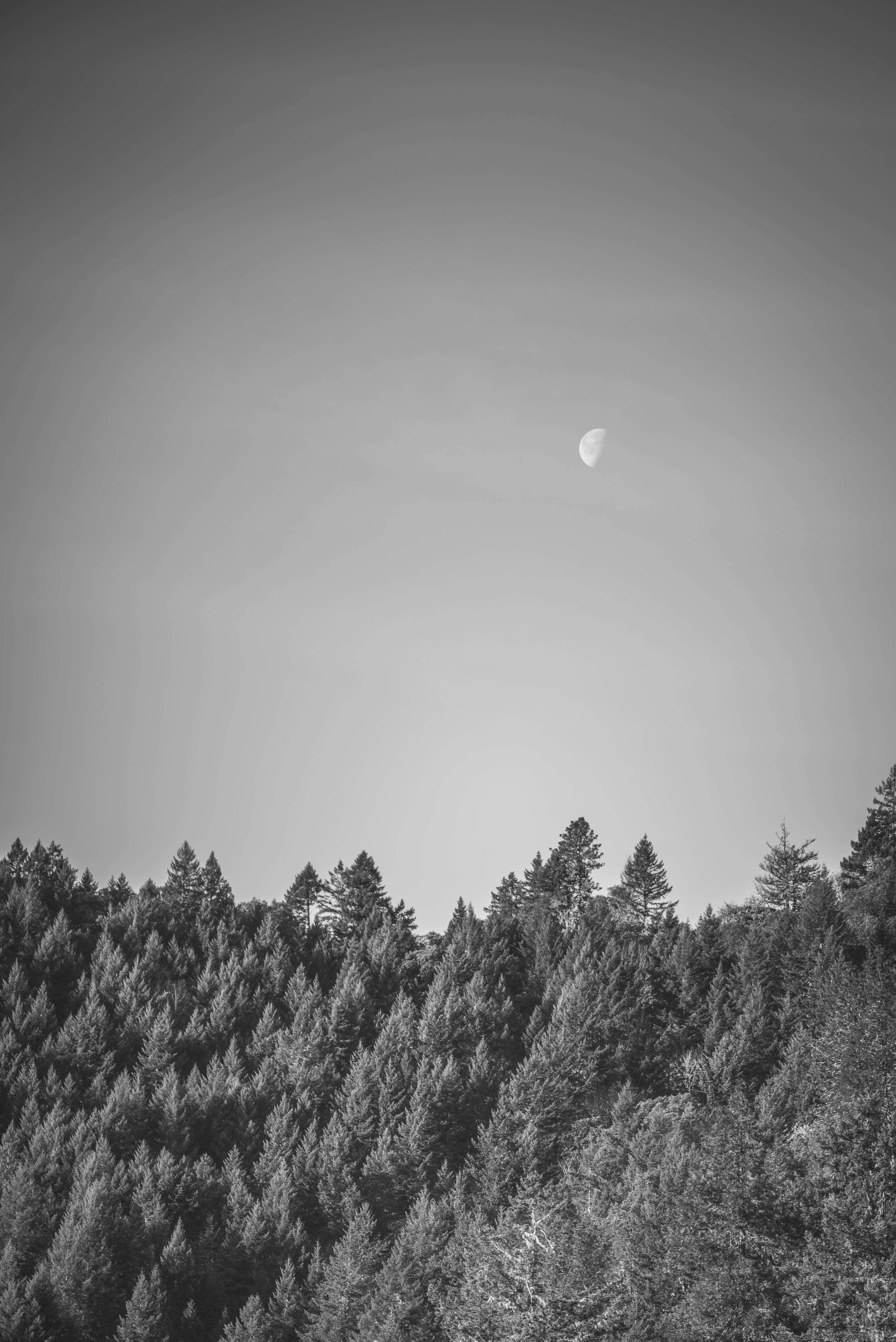 Camper-submitted photo at Whistlers Bend County Park near Dexter, OR