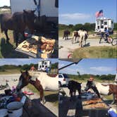 Review photo of Oceanside Assateague Campground — Assateague Island National Seashore by Kirsten J., August 23, 2018