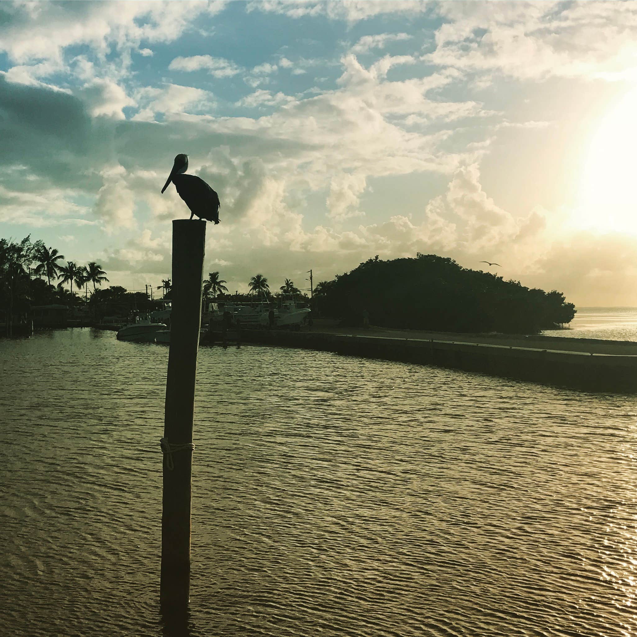 Encore Fiesta Key Camping The Dyrt