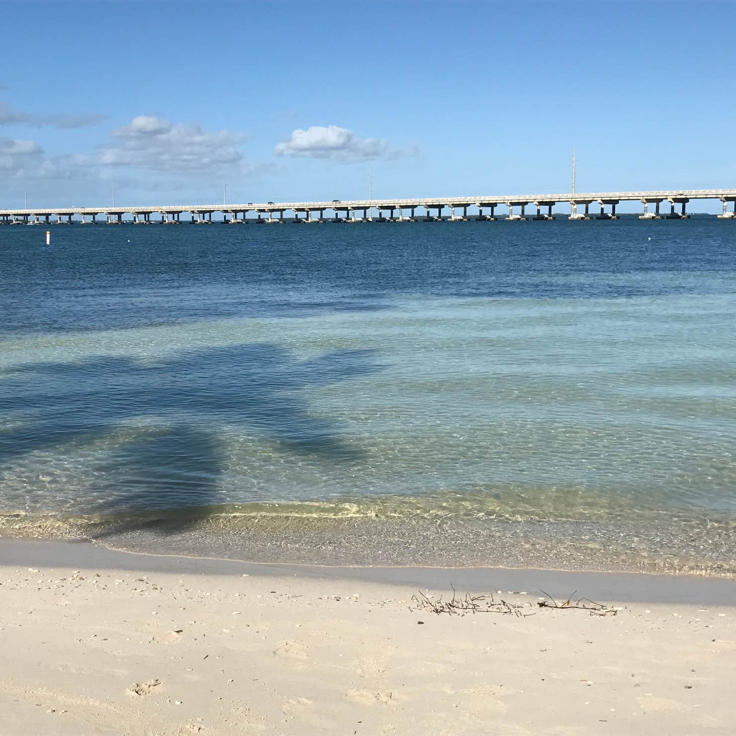 Encore Fiesta Key Camping The Dyrt