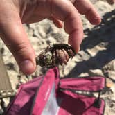 Review photo of Encore Fiesta Key by Kirsten J., August 23, 2018