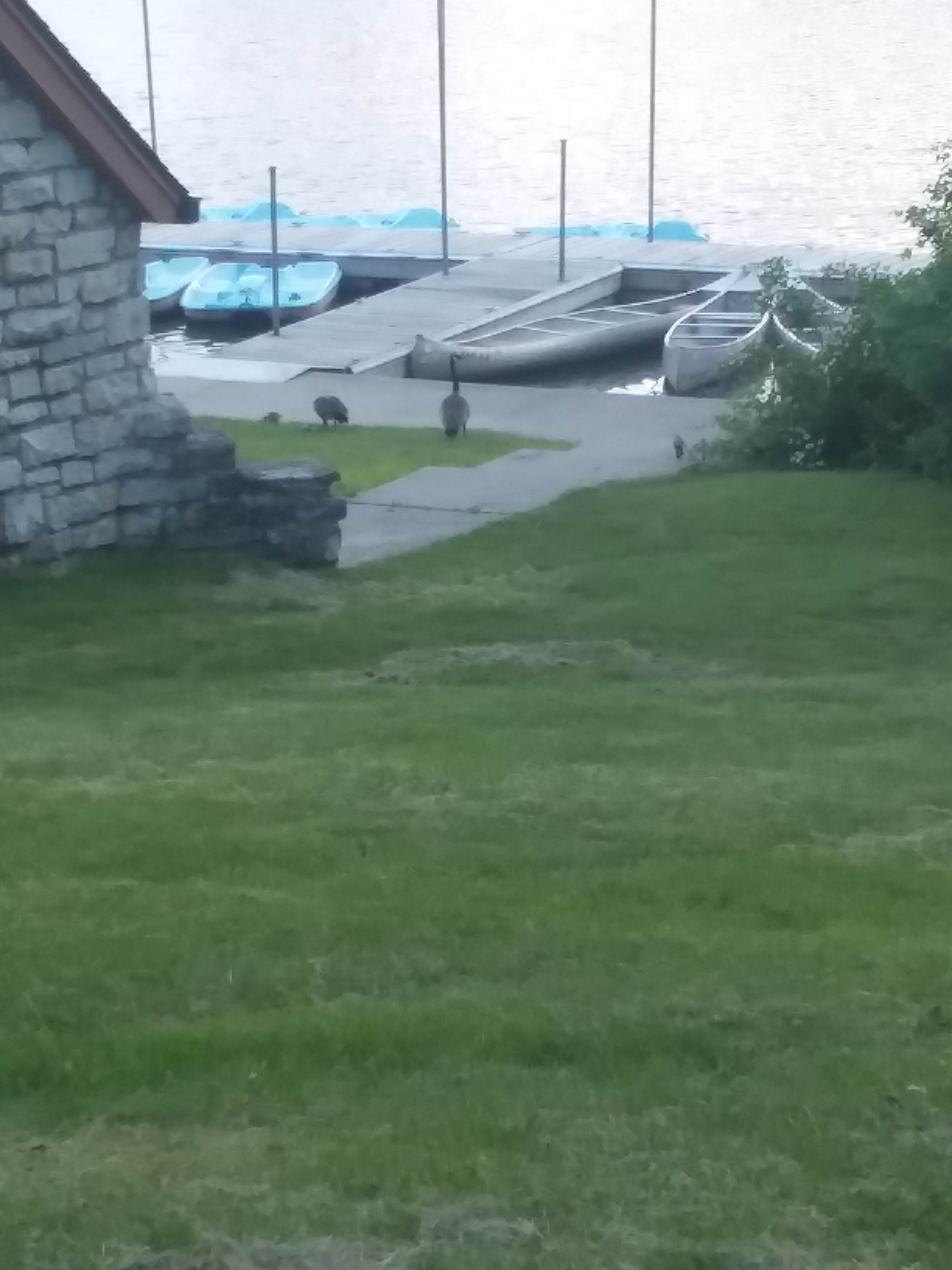 Six Pines Campground — Backbone State Park