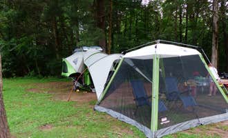 Camping near Hawk Nest Mushroom Farm: Natural Chimneys County Park, Mount Solon, Virginia
