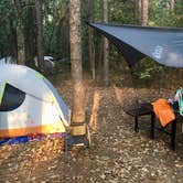 Review photo of Petit Jean State Park — Petit Jean State Park by 2SHOE S., August 16, 2018