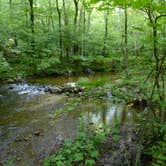 Review photo of Macedonia Brook State Park by Ford S., August 23, 2018