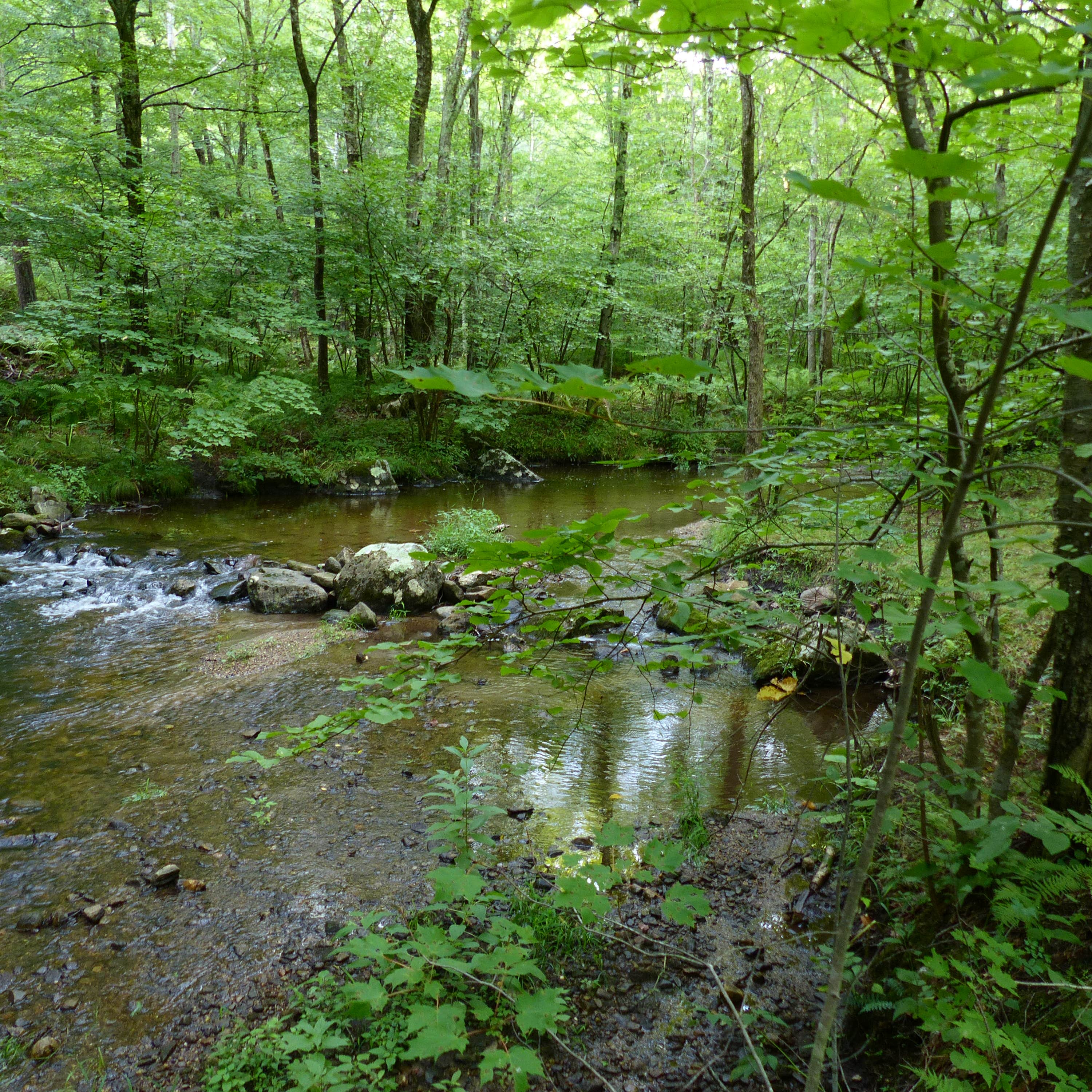 Escape to Nature's Embrace: A Guide to Connecticut's Macedonia Brook State Park