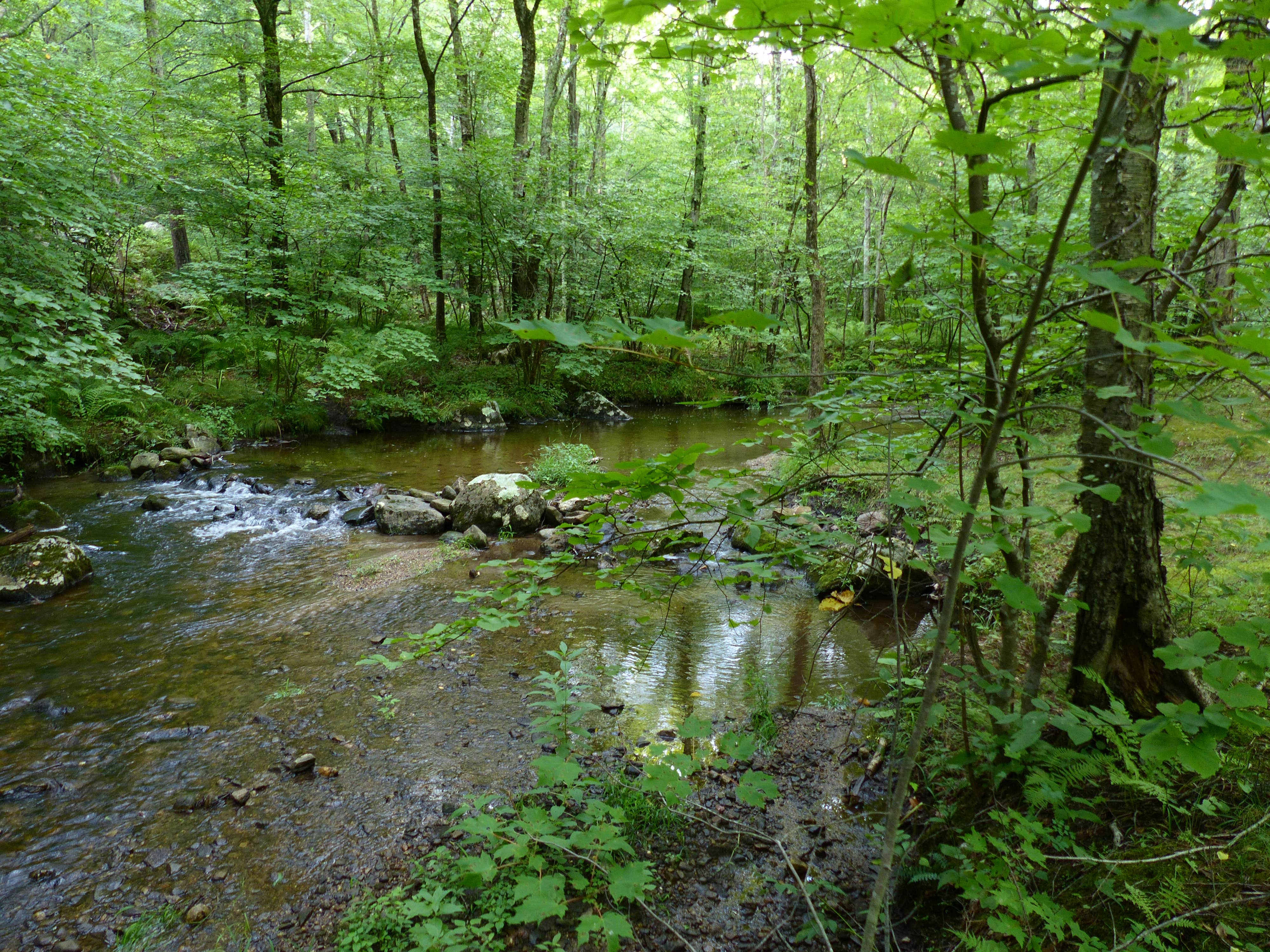 Camper submitted image from Macedonia Brook State Park - 3