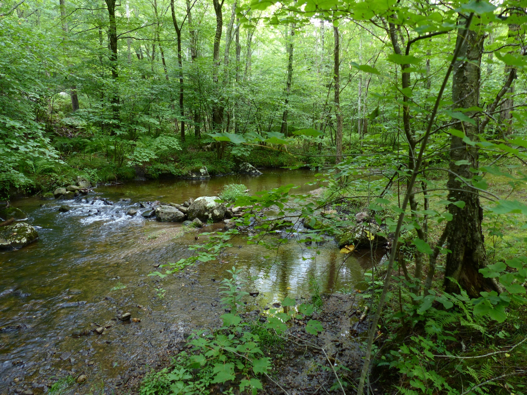 a river in macedonia brook state park
