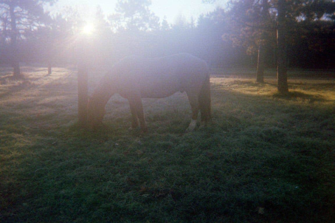 Camper submitted image from Luzerne Trail Camp - 3