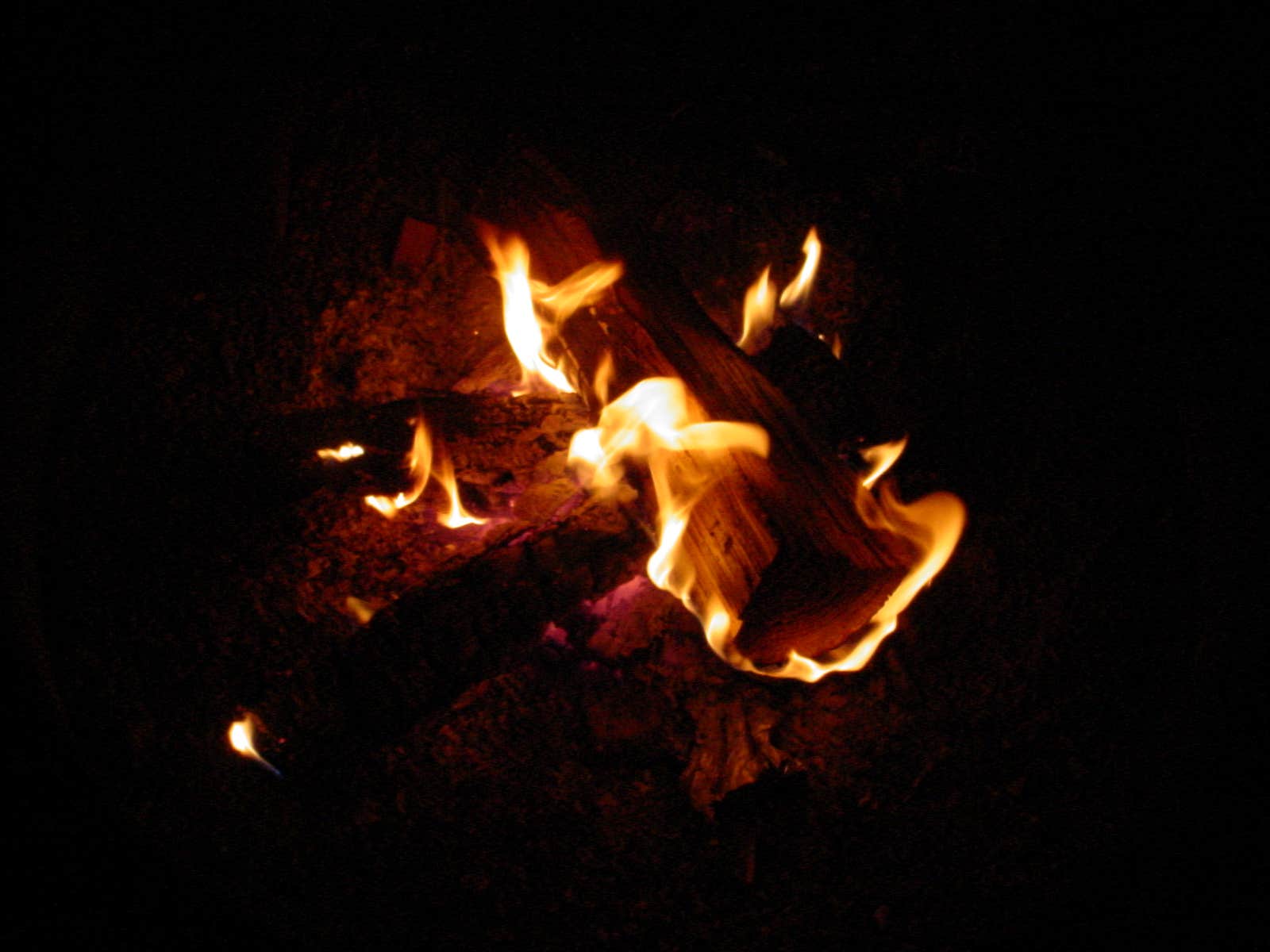 Camper-submitted photo at Twin Lakes State Park Campground near Prospect, VA