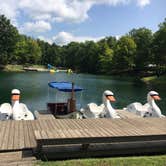 Review photo of Yogi Bear's Jellystone Park at Columbus by Renee L., August 23, 2018