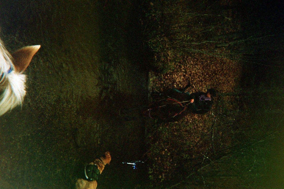 Camper-submitted photo at Luzerne Trail Camp near Mio, MI