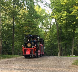 Camper-submitted photo from Yogi Bear's Jellystone Park at Columbus