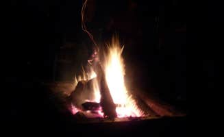 Judy B.'s photo at Luzerne Trail Camp near Lewiston, MI