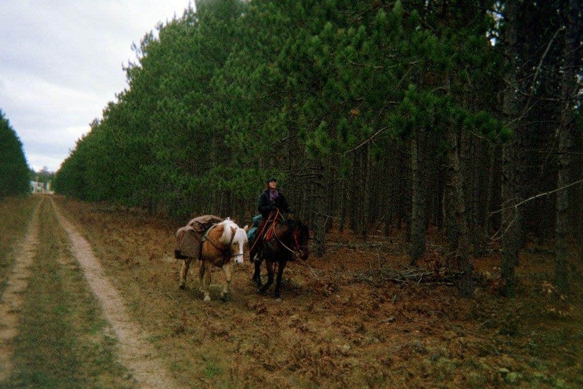 Camper-submitted photo at Luzerne Trail Camp near Mio, MI