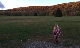 Camping near Greenwood County Park: Hickories Park Campground, Owego, New York