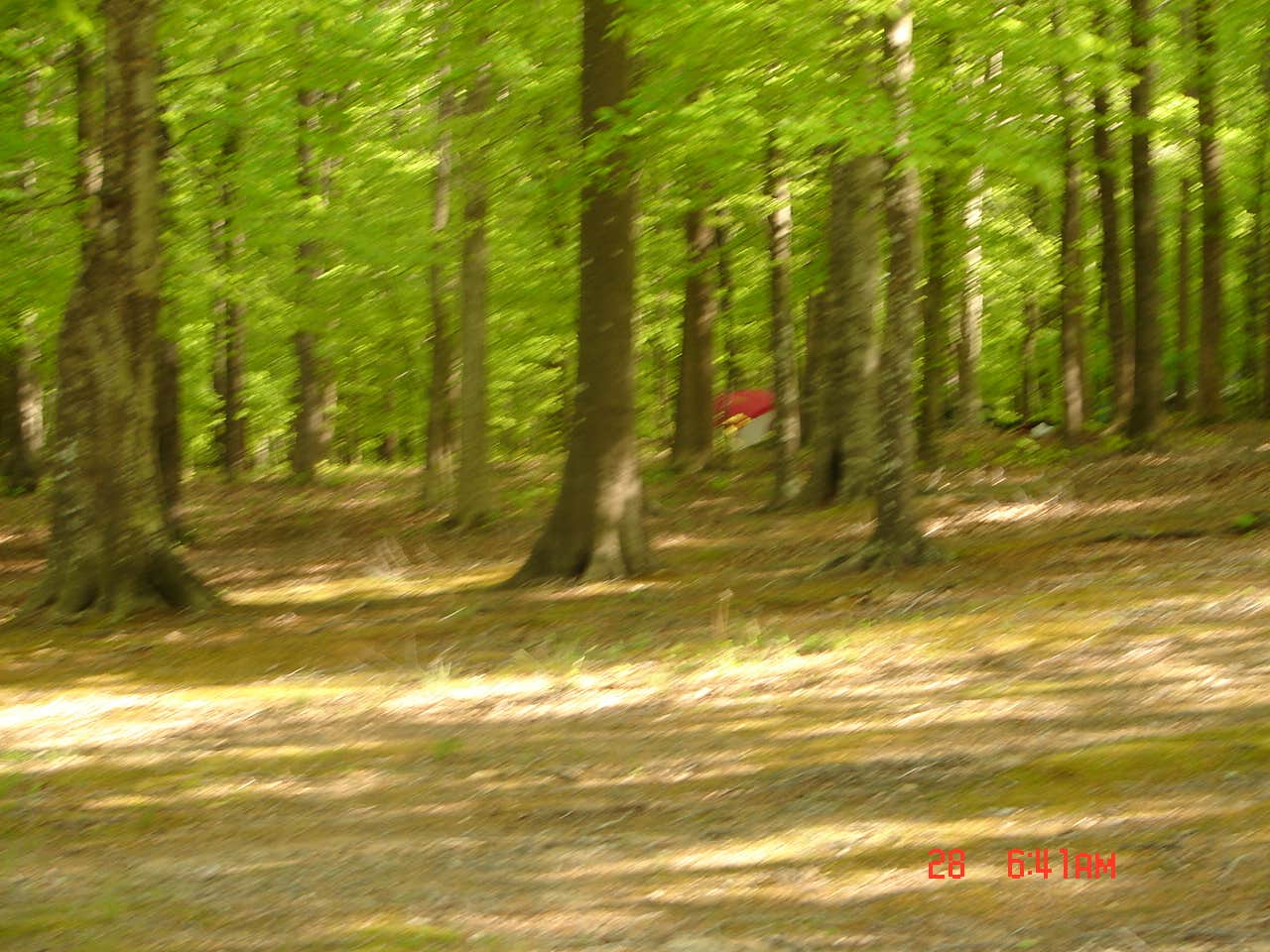 Isle of Wight Family Campground Windsor, VA