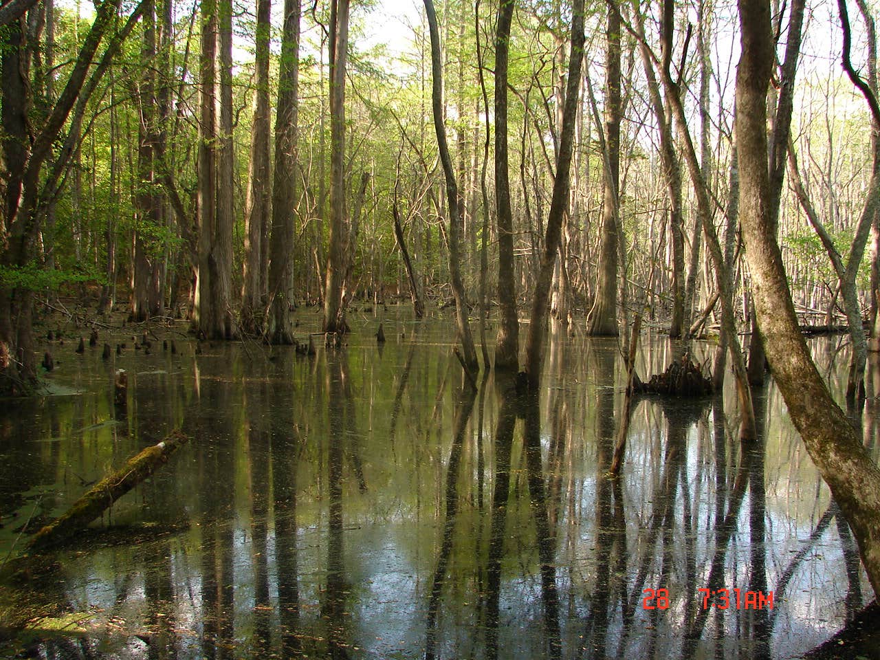 Isle of Wight Family Campground Windsor, VA