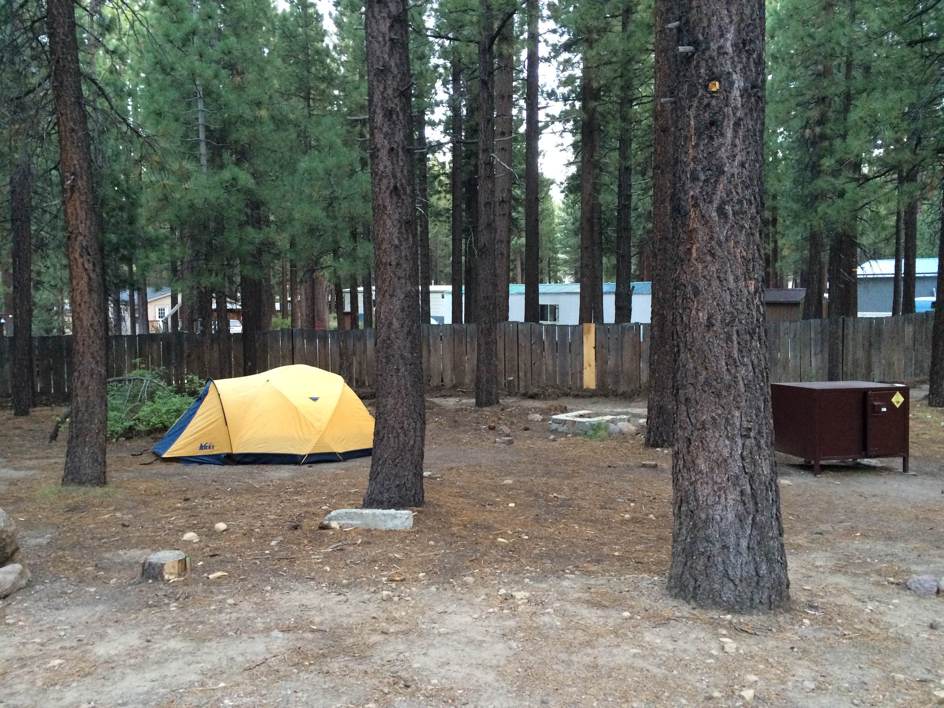 Camper submitted image from Old Shady Rest Campground - 5