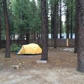 Review photo of Old Shady Rest Campground by sasha N., August 23, 2018