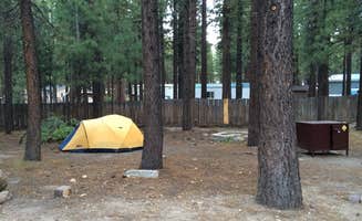 sasha N.'s photo at Old Shady Rest Campground near Inyo National Forest