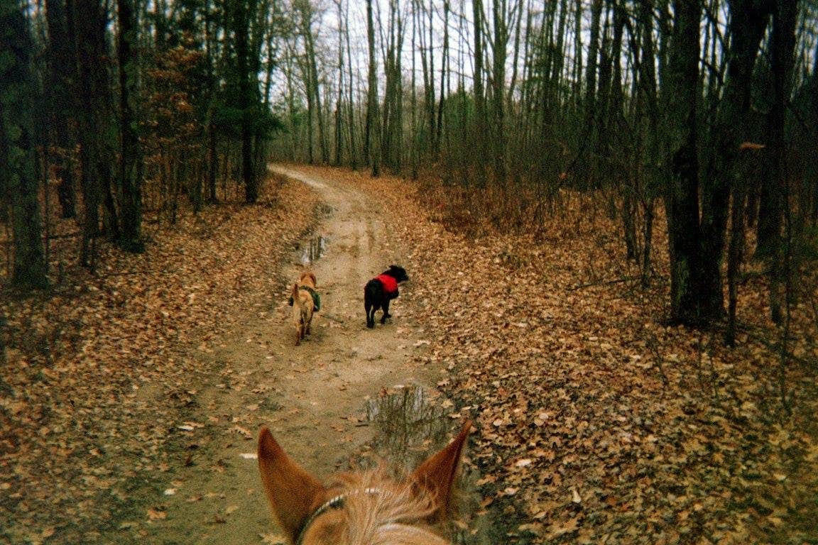 Camper submitted image from Luzerne Trail Camp - 1