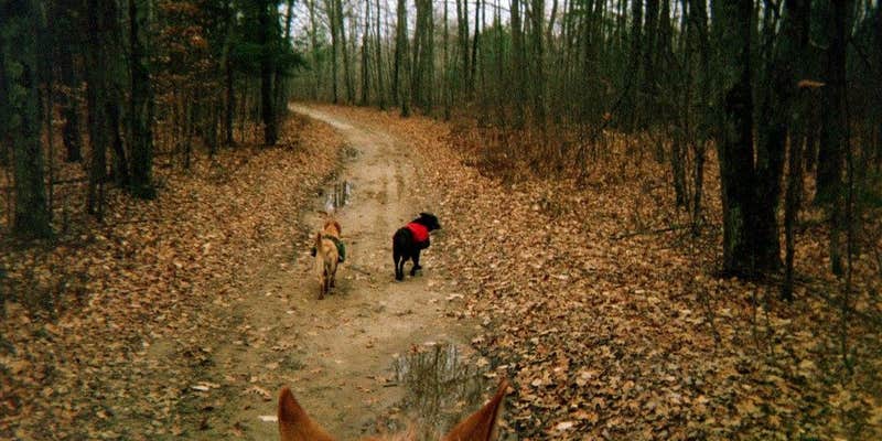 Camper submitted image from Luzerne Trail Camp