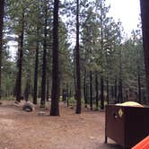 Review photo of Old Shady Rest Campground by sasha N., August 23, 2018