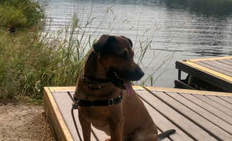 Samantha W.'s photo of camping with pets at Priest River near Cusick, WA