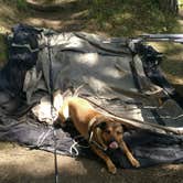 Review photo of Hawleys Landing Campground — Heyburn State Park by Samantha W., August 23, 2018