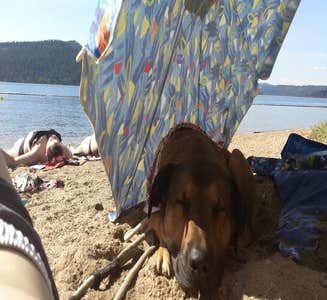 Camper-submitted photo from Liberty Lake RV Campground 