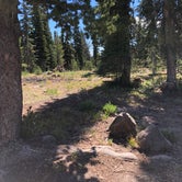 Review photo of Piney Campground by Melani T., August 23, 2018