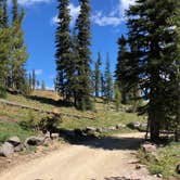 Review photo of Piney Campground by Melani T., August 23, 2018