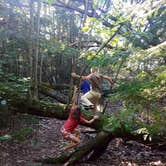 Review photo of Wilderness State Park Camping by Jen W., August 23, 2018