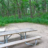 Review photo of Dunewood Campground — Indiana Dunes National Park by Jen L., August 23, 2018