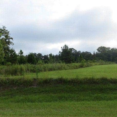 Camper submitted image from Reed Bingham State Park Campground - 2