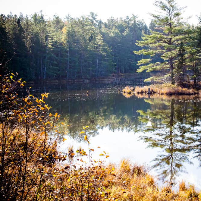 Au Train Lake Campground Camping The Dyrt