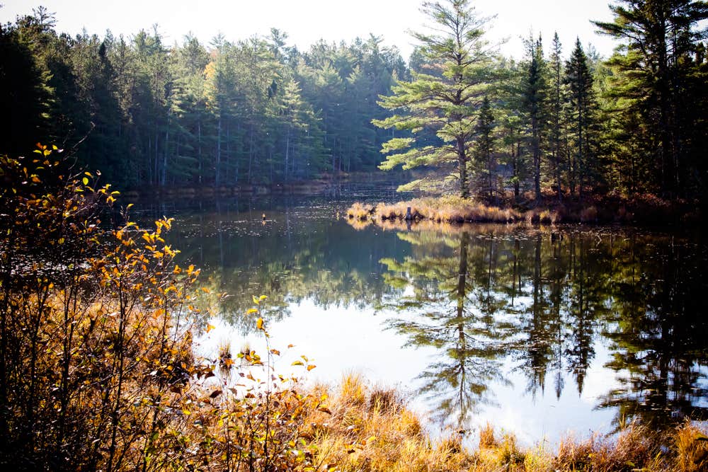 Camper submitted image from Au Train Lake Campground - 2