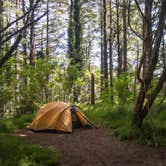 Review photo of Sky Campground — Point Reyes National Seashore by sasha N., August 23, 2018