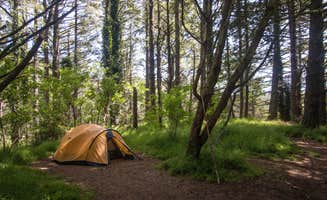 sasha N.'s photo at Sky Campground — Point Reyes National Seashore near Bolinas, CA