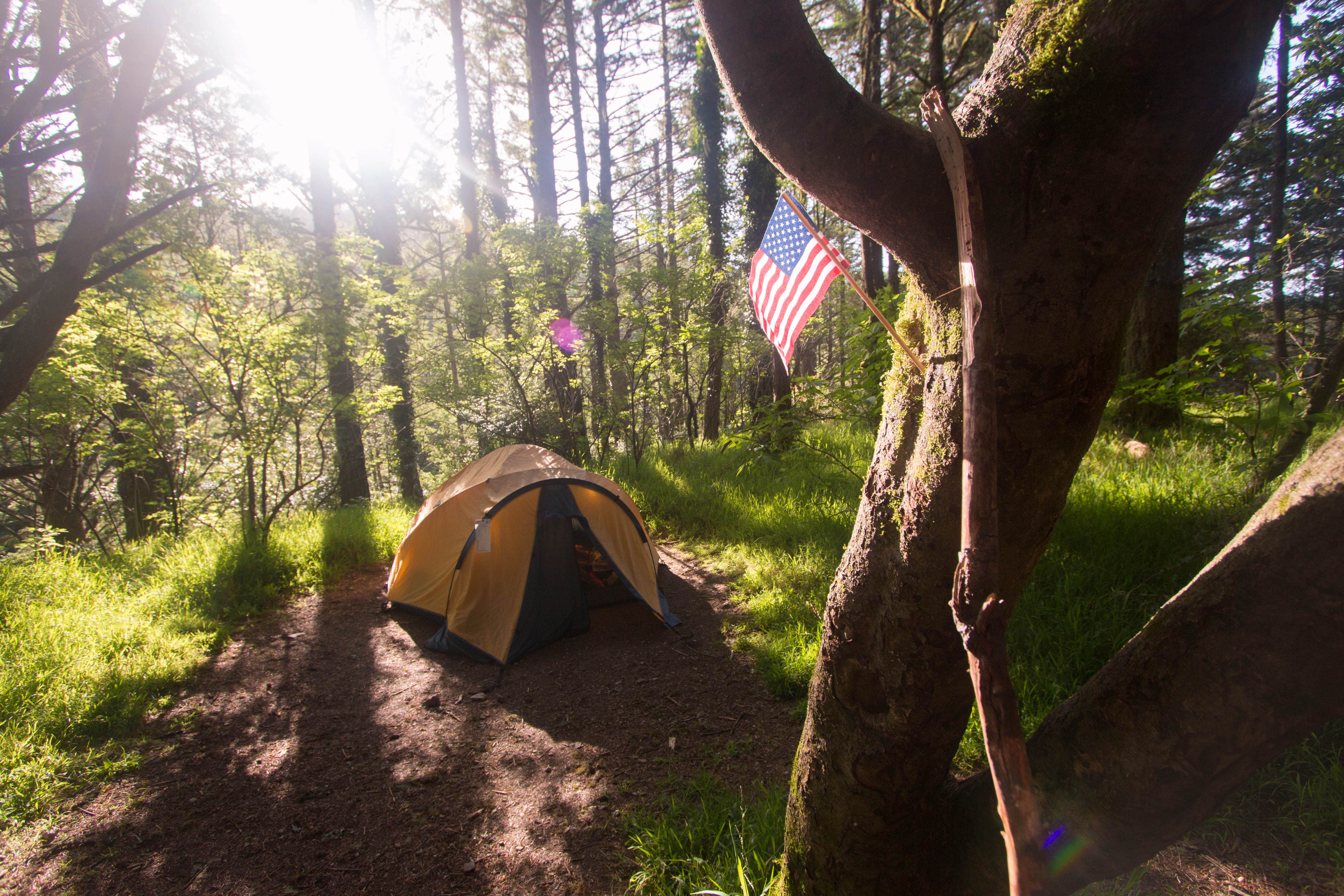 Camper submitted image from Sky Campground — Point Reyes National Seashore - 1