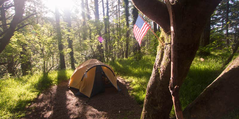 Camper submitted image from Sky Campground — Point Reyes National Seashore