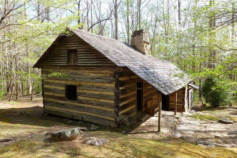 Bran P.'s photo of camping with pets at Cosby Campground — Great Smoky Mountains National Park near Great Smoky Mountains National Park