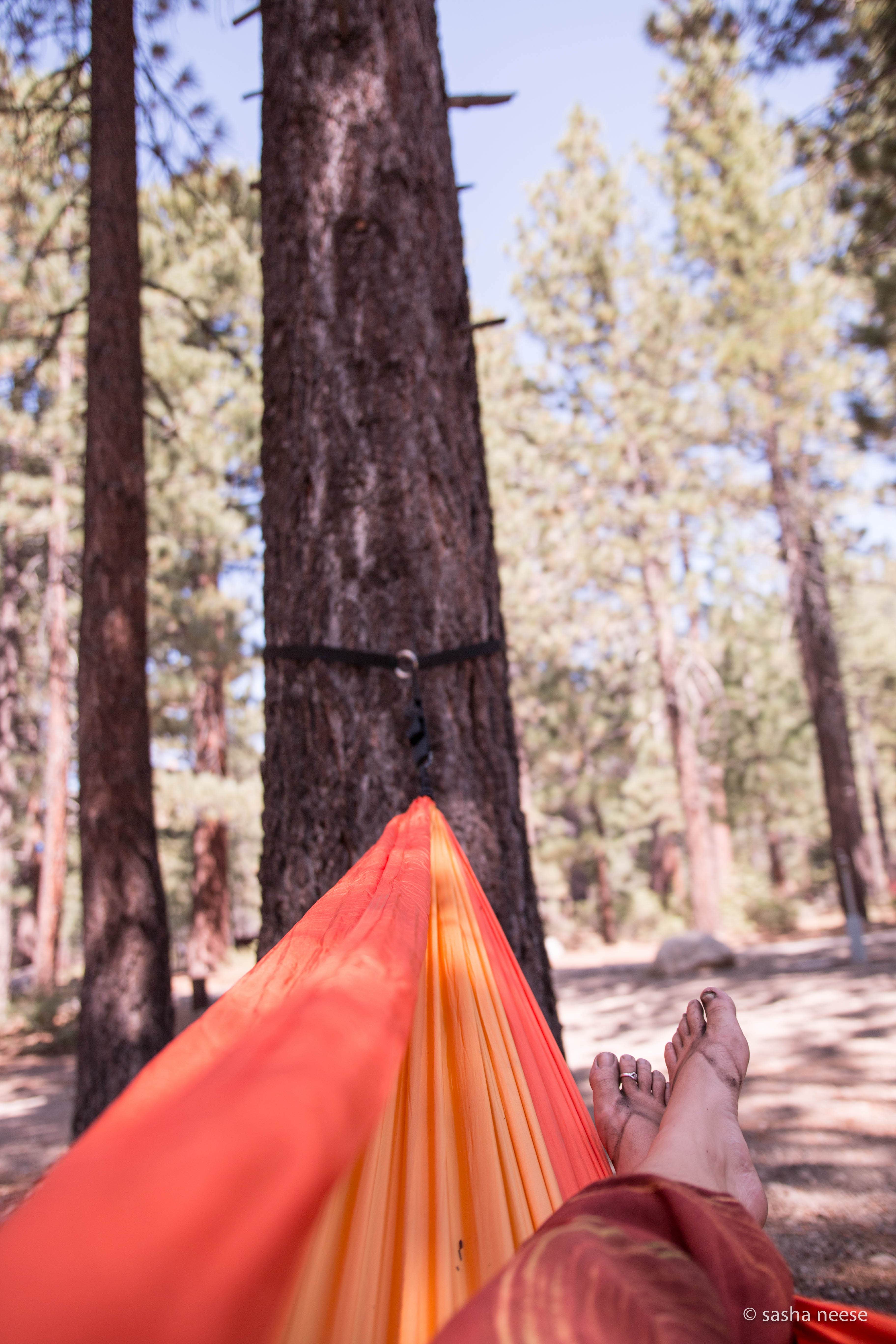 sasha N.'s photo at Old Shady Rest Campground near Mammoth Lakes, CA
