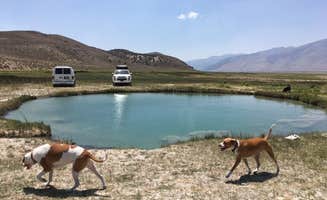 Jason & Sara S.'s photo of camping with pets at South Ruby Campground near Spring Creek, NV
